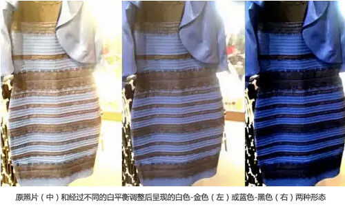 一条裙子的颜色 白金or蓝黑？