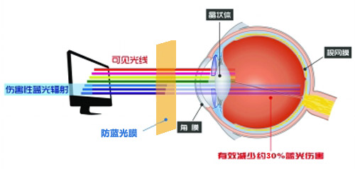 美成最新科技成果 防蓝光膜成护眼利器